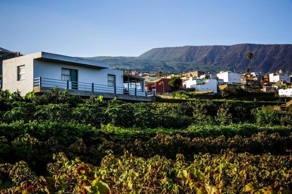 Finca Maranuela La Perdoma Esterno foto
