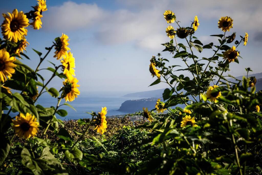 Finca Maranuela La Perdoma Esterno foto